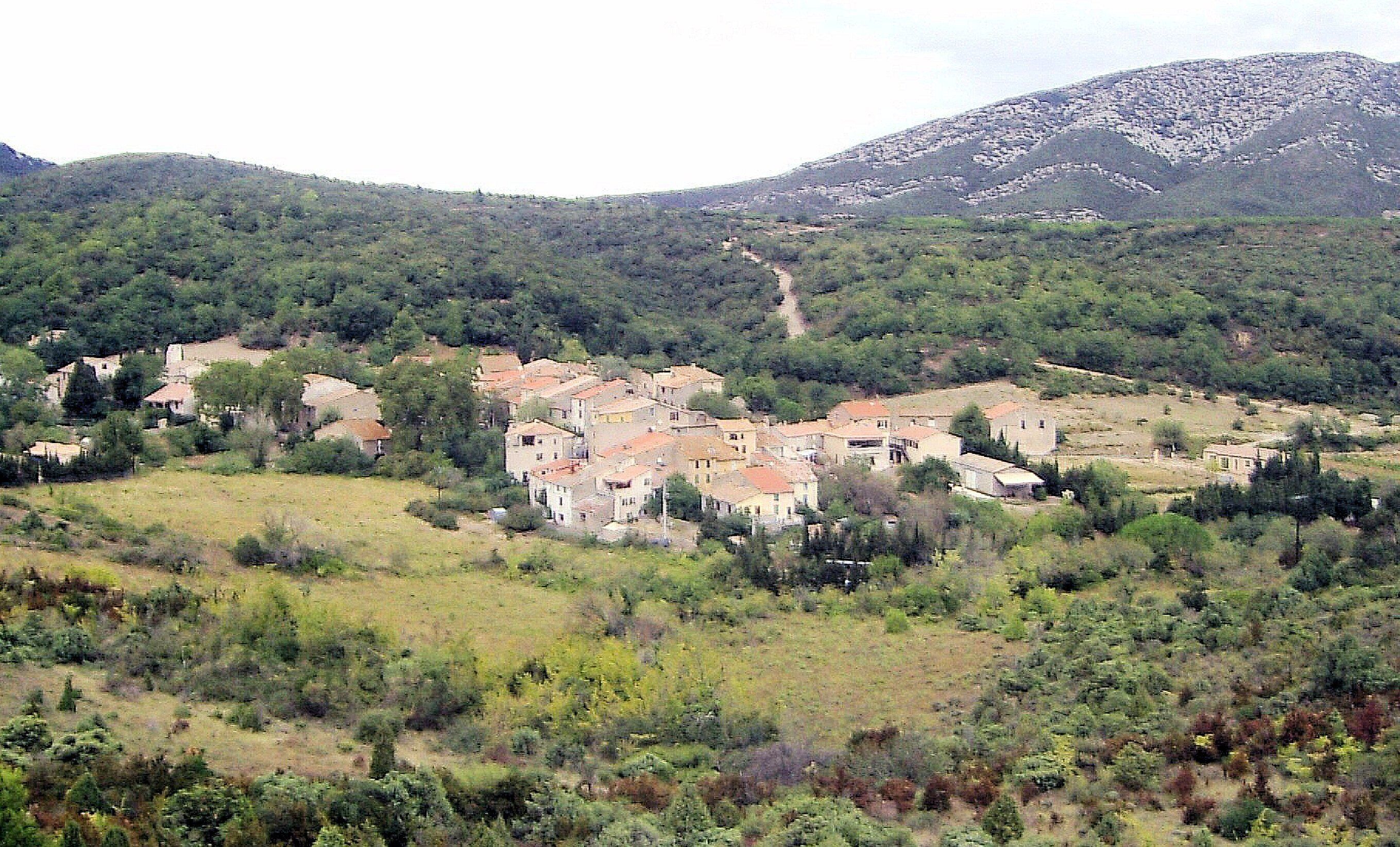 A village nestled in a valley with a mountain in the background.