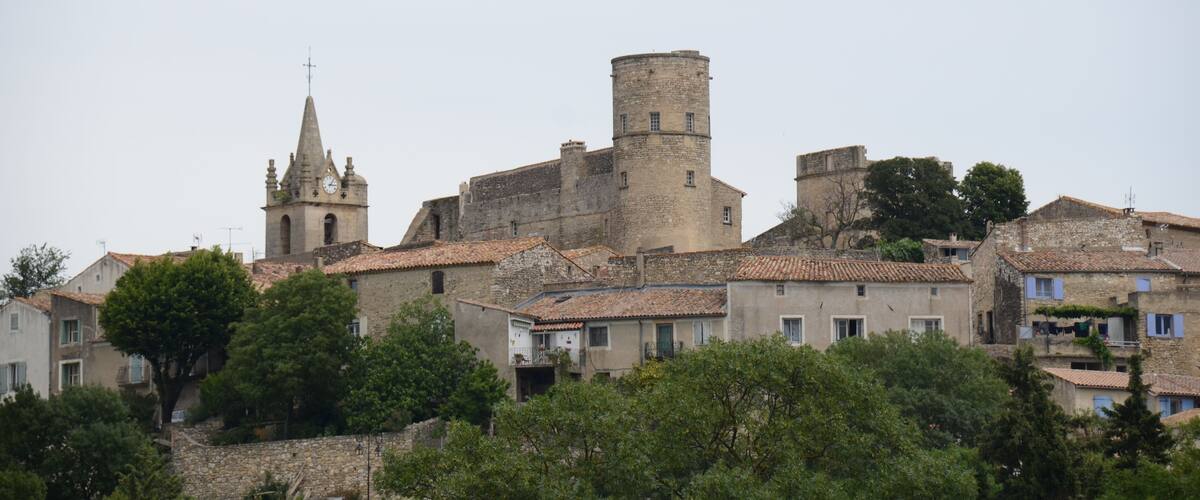 A historic town with a prominent church tower, a large round tower, and traditional buildings with tiled roofs.
