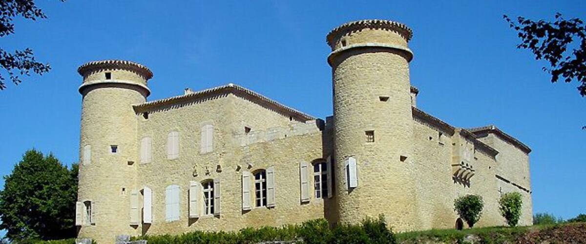 A large stone castle with two round towers and a grassy foreground.