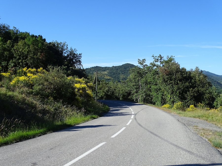 A winding road surrounded by lush greenery and yellow wildflowers, with a mountain in the background.