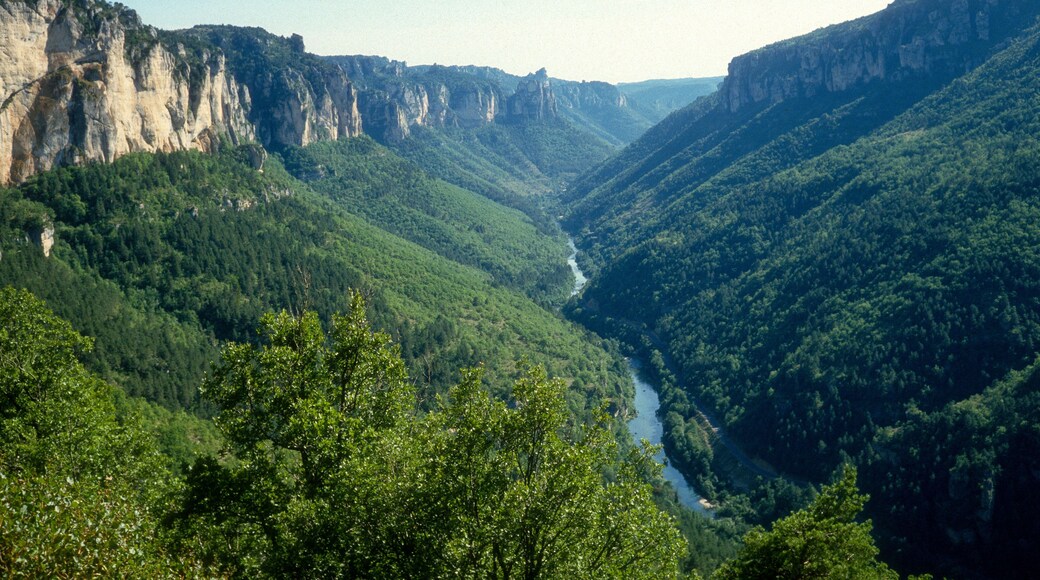 ํํ ์ฟ ์ฐ ๊ณ๊ณก