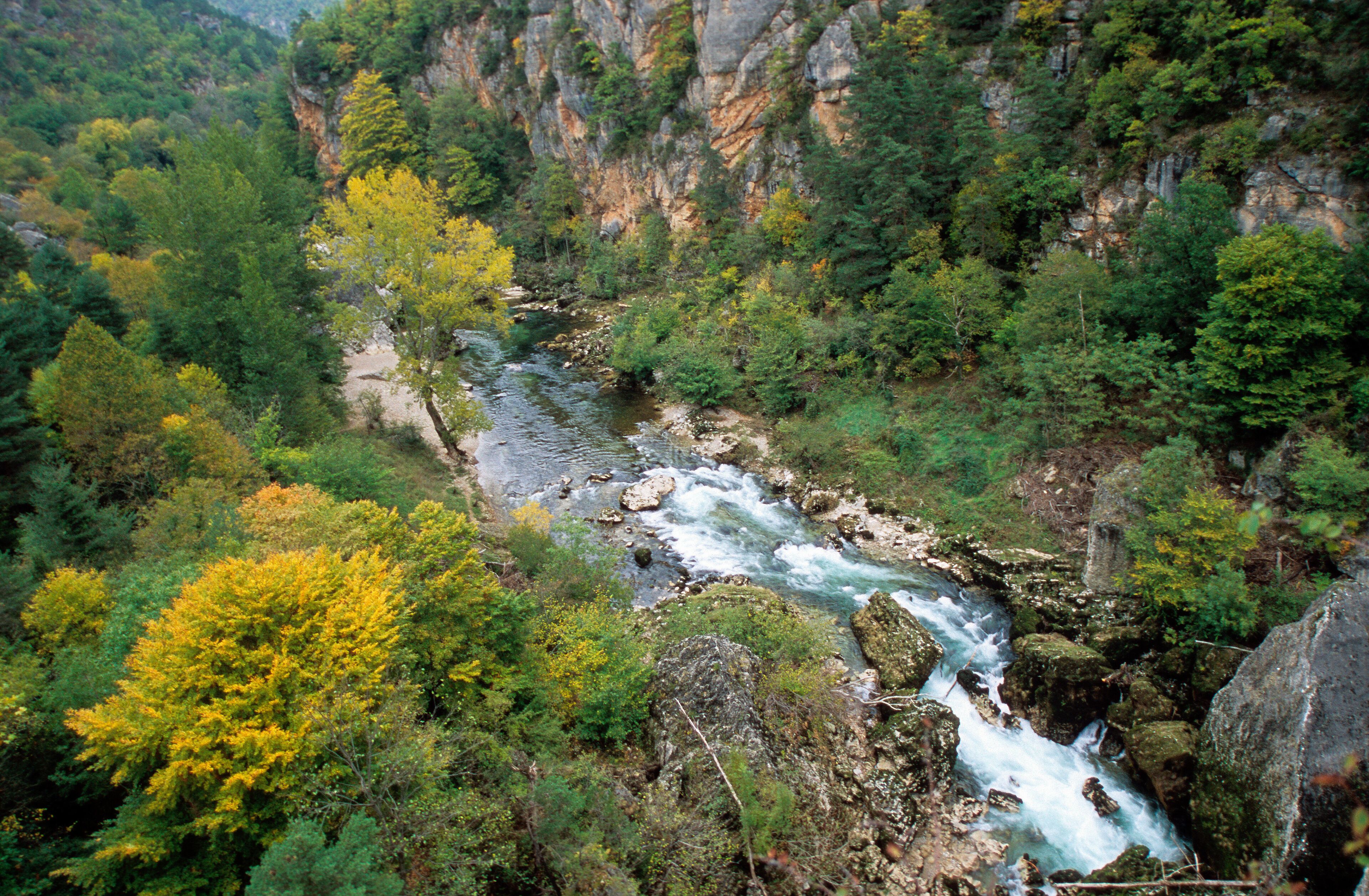 Gorges du Tarn Causses