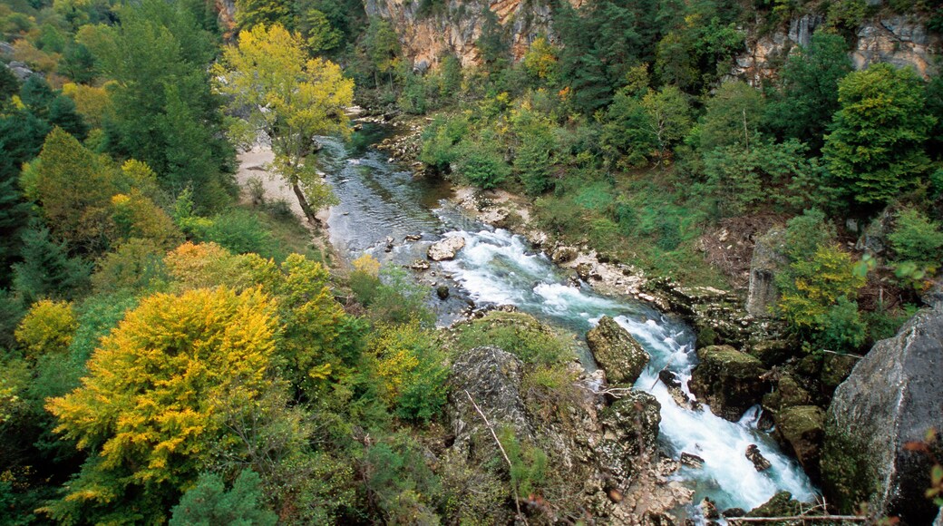 Gorges du Tarn Causses