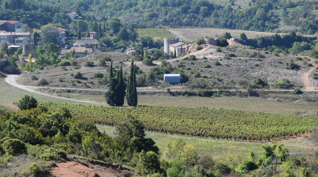 This building is indexed in the Base Mérimée, a database of architectural heritage maintained by the French Ministry of Culture, under the reference PA00102922 .