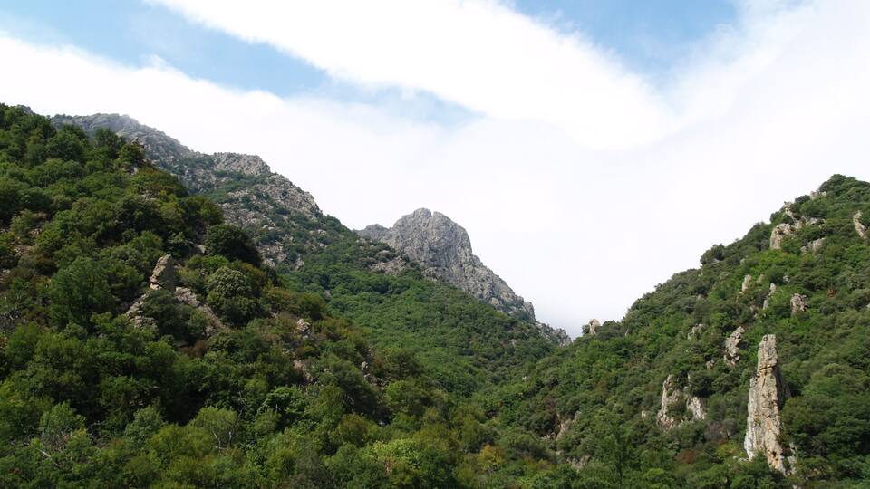 A mountainous landscape with dense green forests and rocky outcrops.