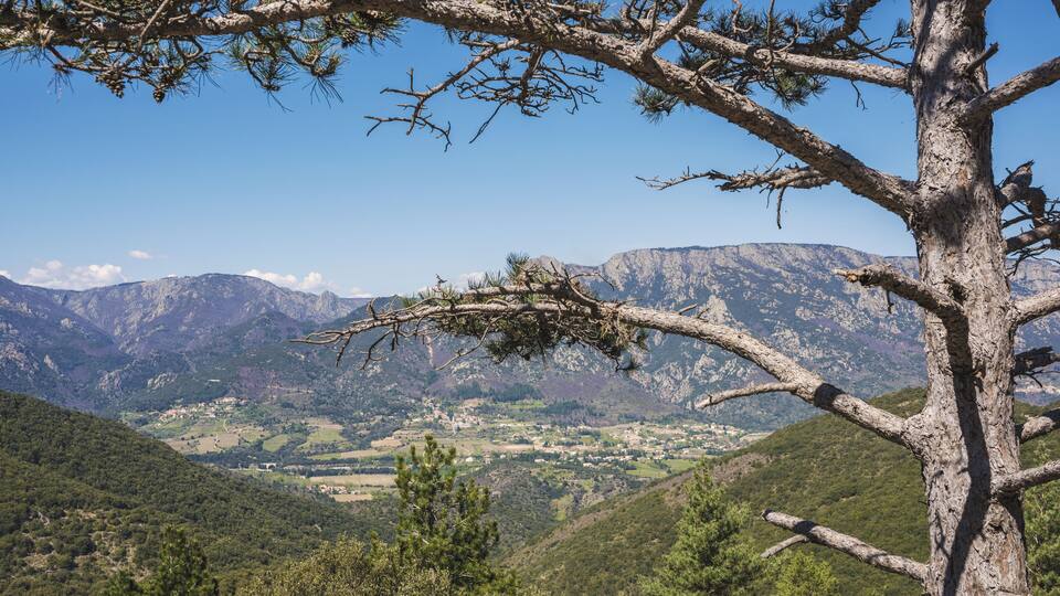 A mountainous landscape with a prominent tree in the foreground and a village in the valley below.