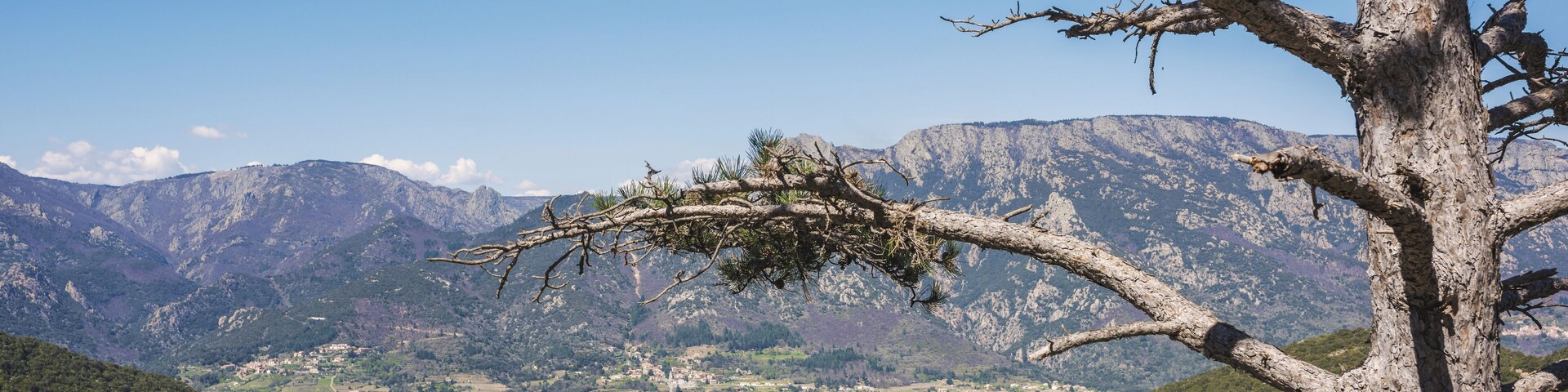 The commune of Mons (Hérault, France) from the "Forêt domaniale des Avant-Monts" (English : Avant-Monts National Forest). In background the "Massif du Caroux". Haut-Languedoc Regional Natural Park.