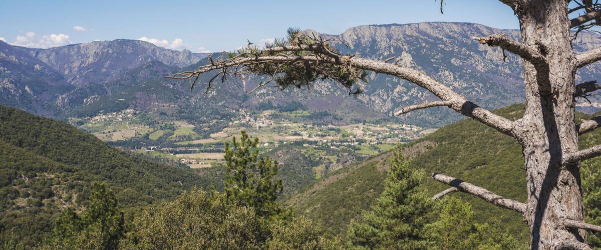 A mountainous landscape with a prominent tree in the foreground and a village in the valley below.