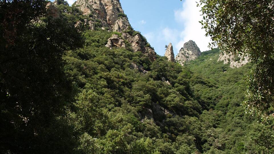 A mountainous landscape with dense green forests and rocky peaks.