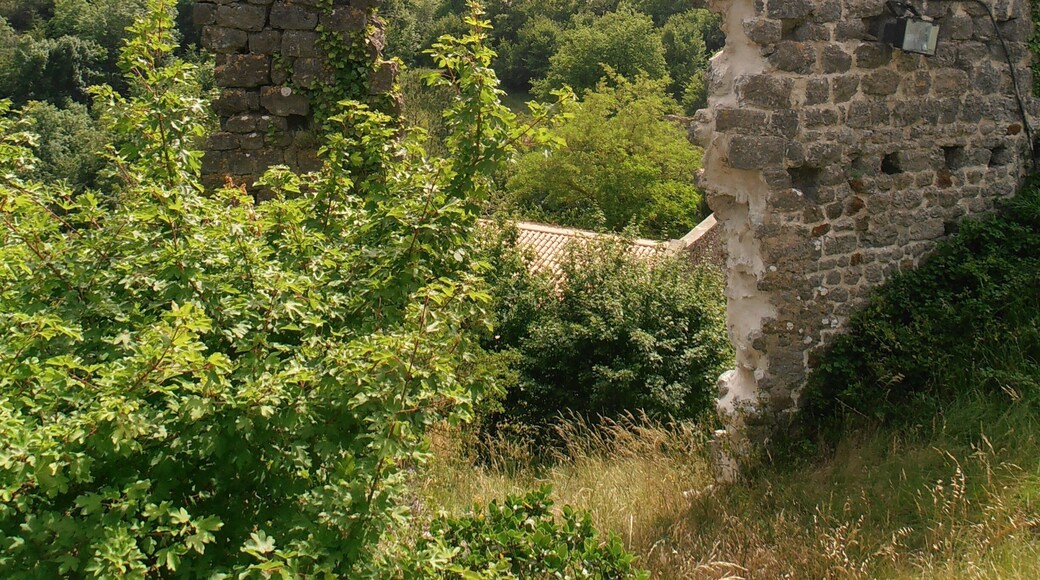 This building is indexed in the Base Mérimée, a database of architectural heritage maintained by the French Ministry of Culture, under the reference PA00102545 .