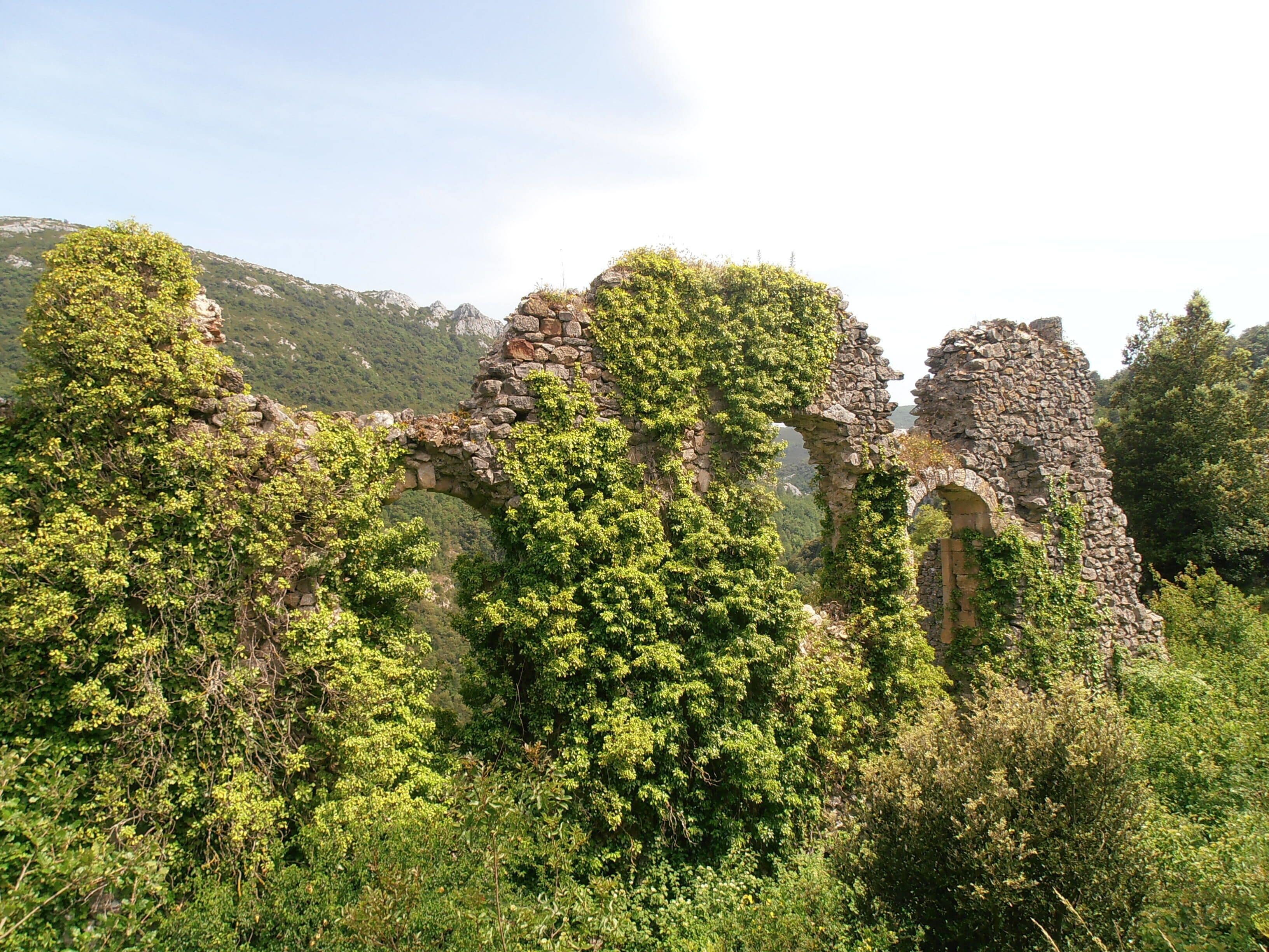 Ancient stone ruins covered in lush greenery.