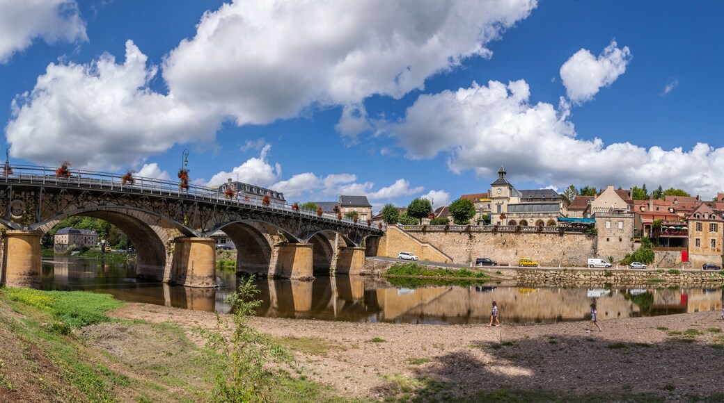 瓦德盧伊耶和科多