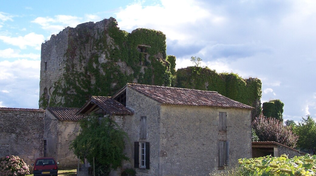 Castle of Caze in Saint-Sulpice-de-Guilleragues (Gironde, France)