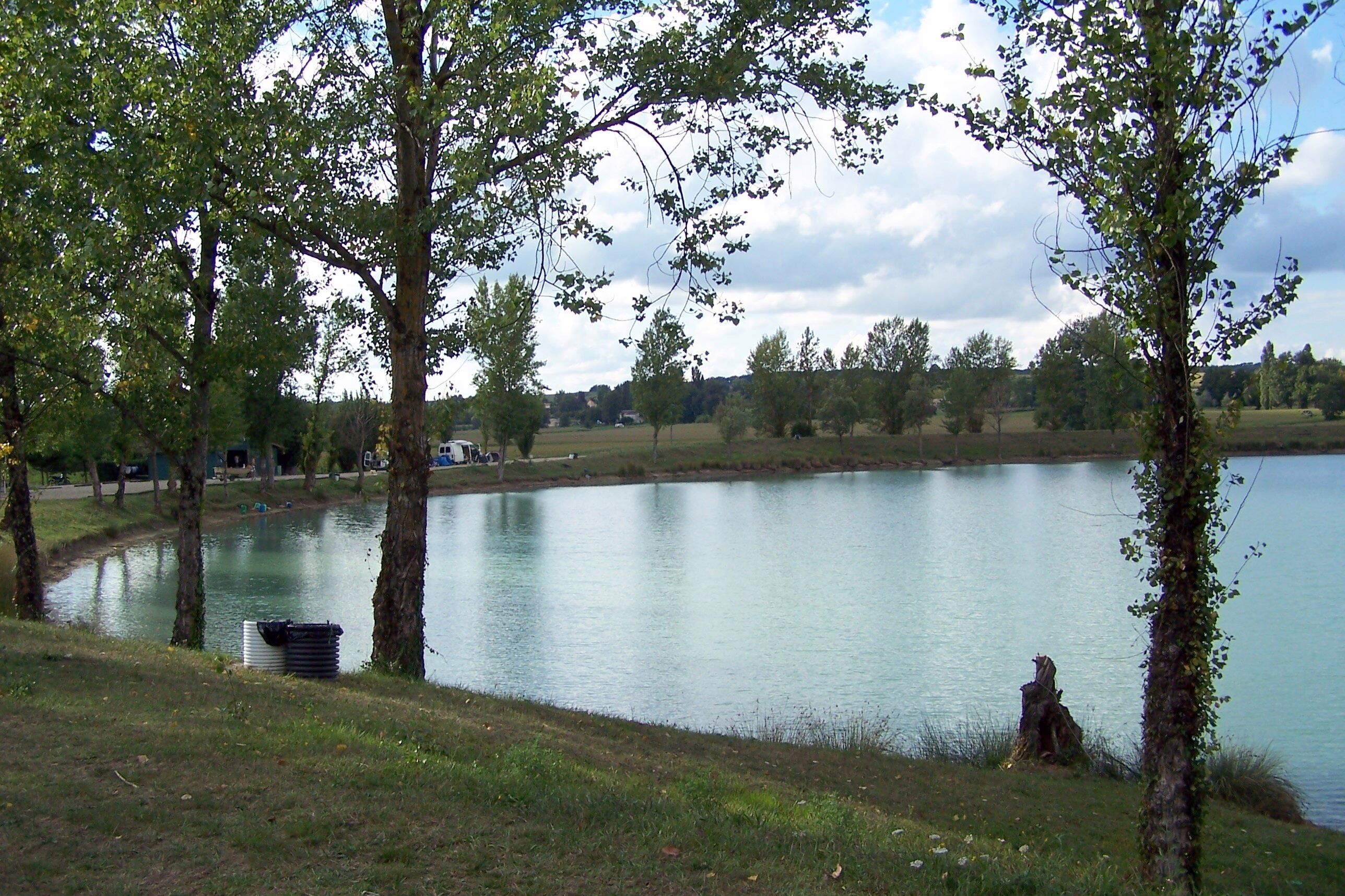 A calm lake surrounded by trees and a grassy area.