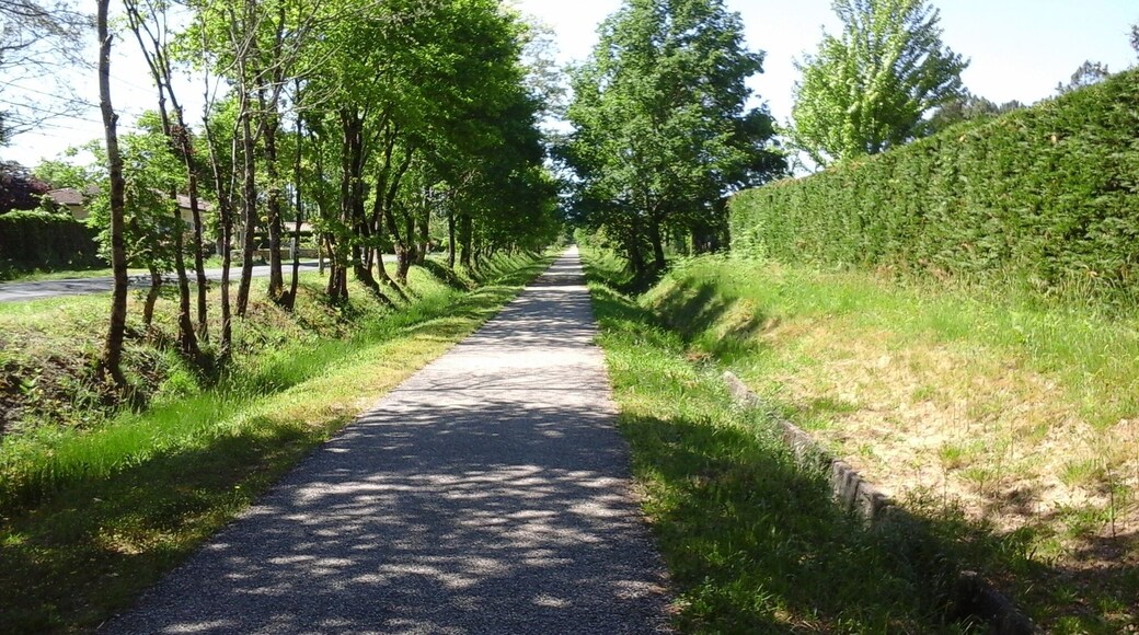 Riding along the cycle track from Roaillan to Le Nizan