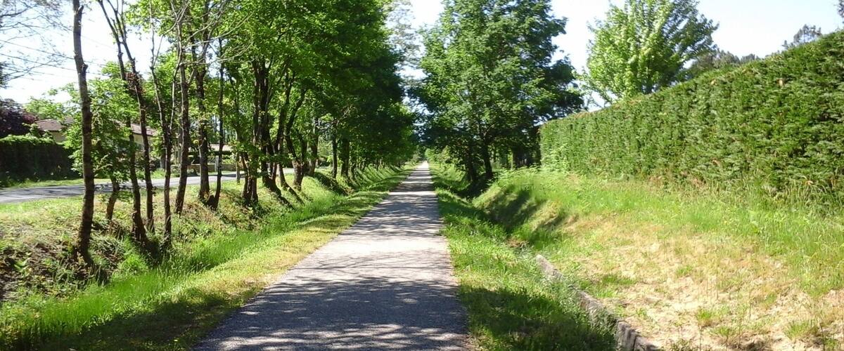 A paved path flanked by trees and grass, leading into a distance.