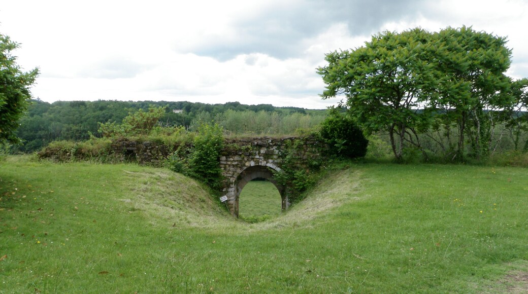 Arch ~ Château de Roquetaillade