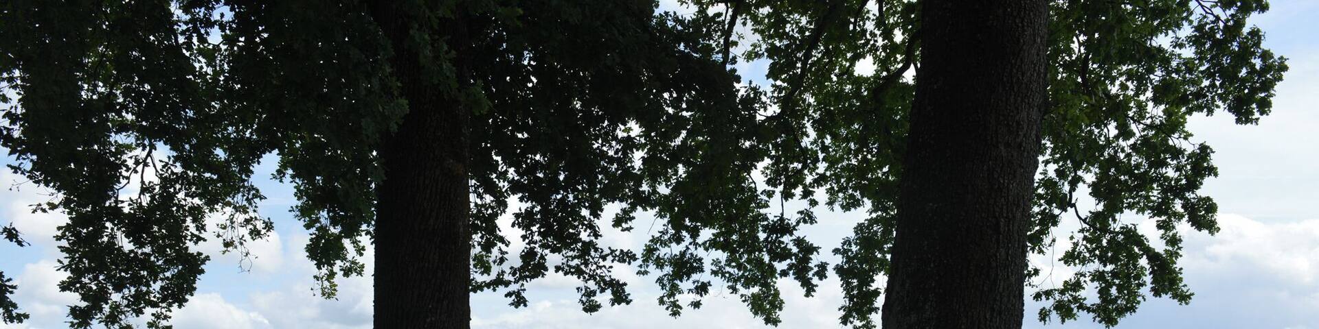 Château de Ferrand (Saint Émilion), Gironde, France