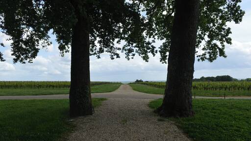 Château de Ferrand (Saint Émilion), Gironde, France