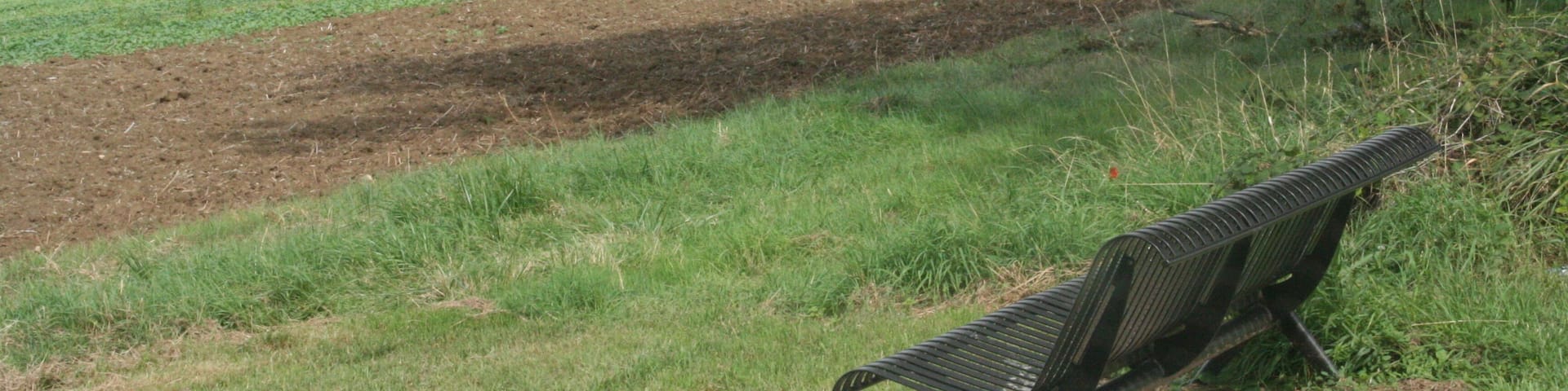 Pour admirer le paysage...