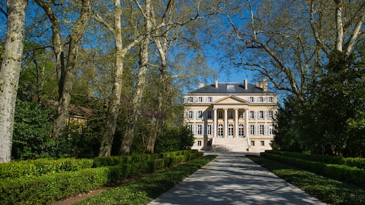 Chateau Margaux-Bordeaux Vineyard