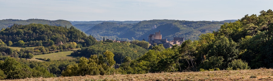 Château de Beynac-et-cazenac