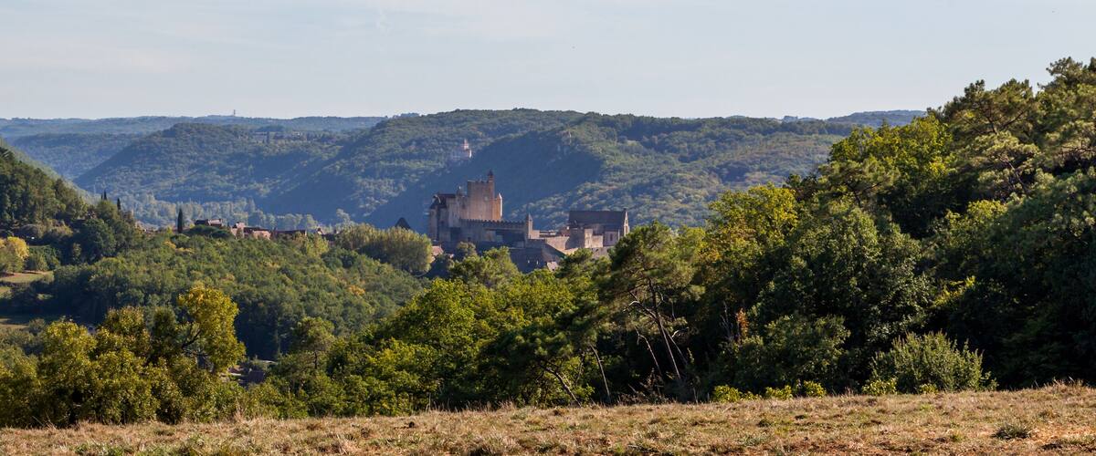 A castle on a hill with surrounding forest and fields.
