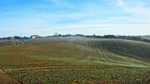 ليراك سوك تارن