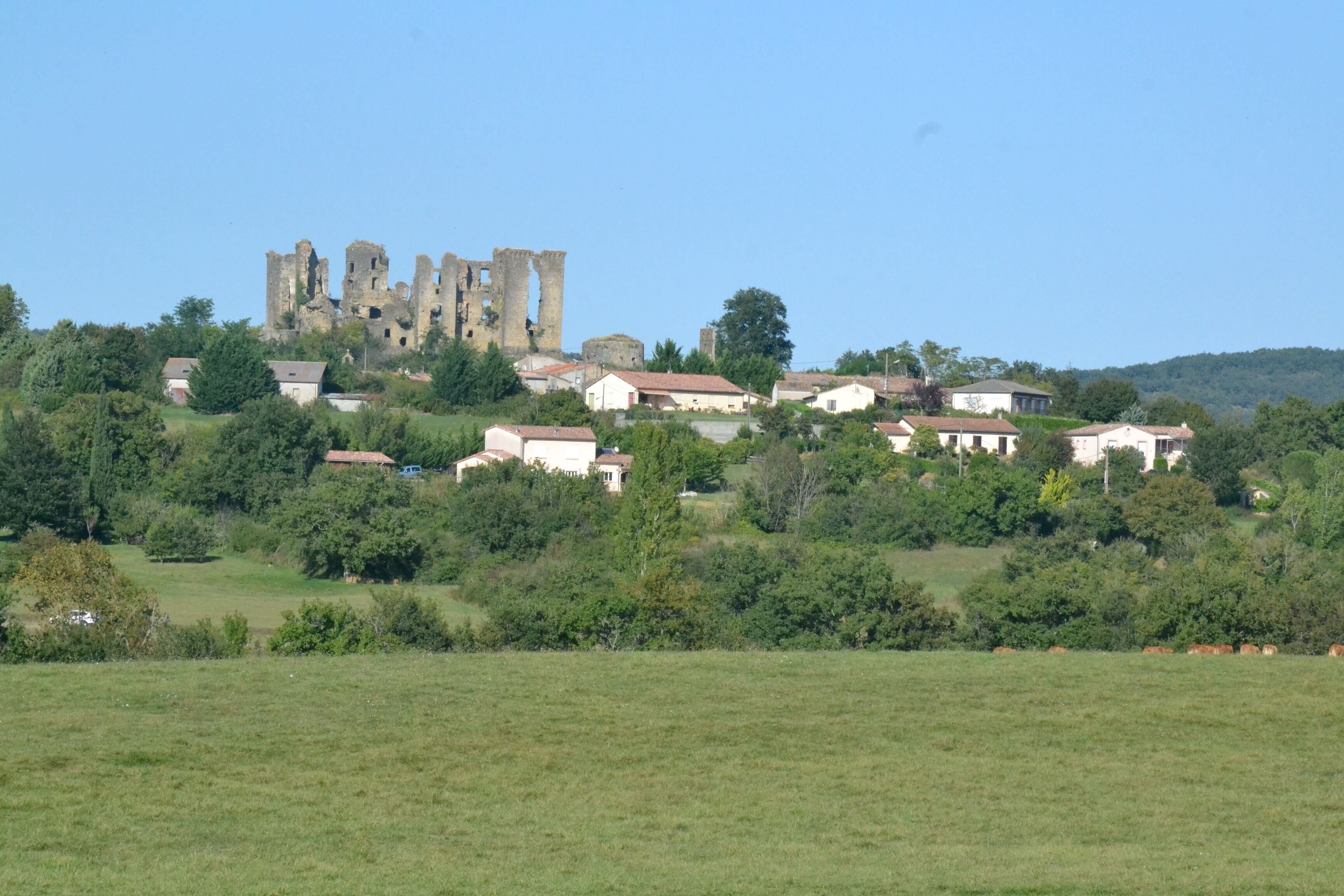 A historic castle ruin atop a hill with surrounding residential buildings and lush greenery.