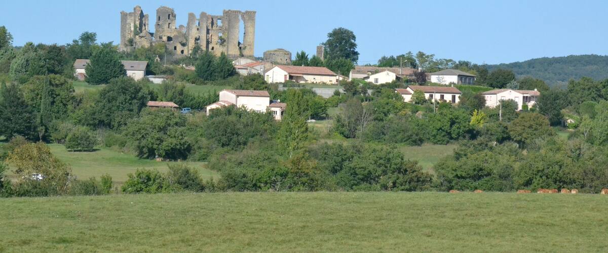 A historic castle ruin atop a hill with surrounding residential buildings and lush greenery.