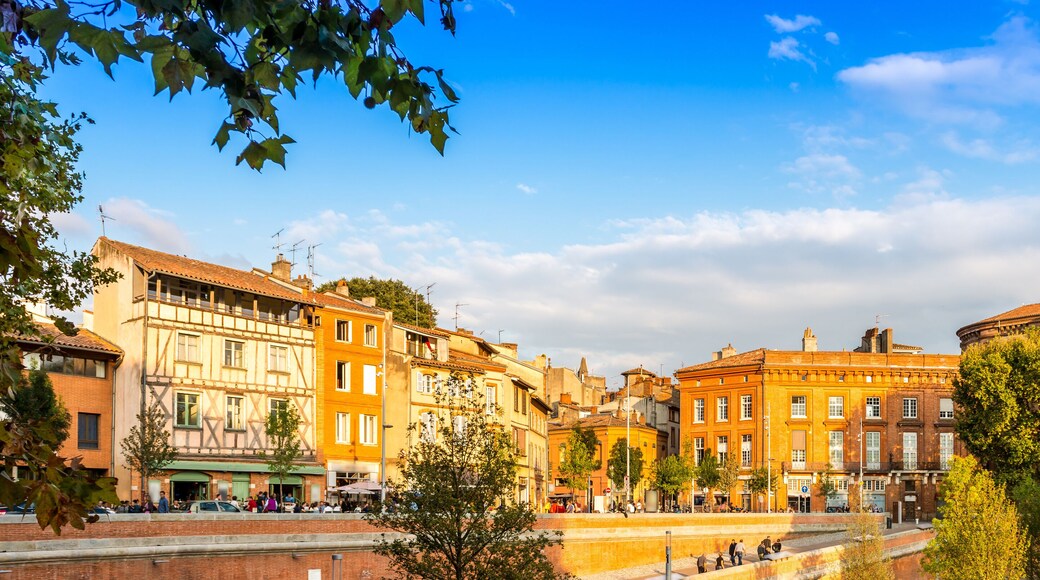 Place de la Daurade à Toulouse en Midi-Pyrénées, Occitanie en France