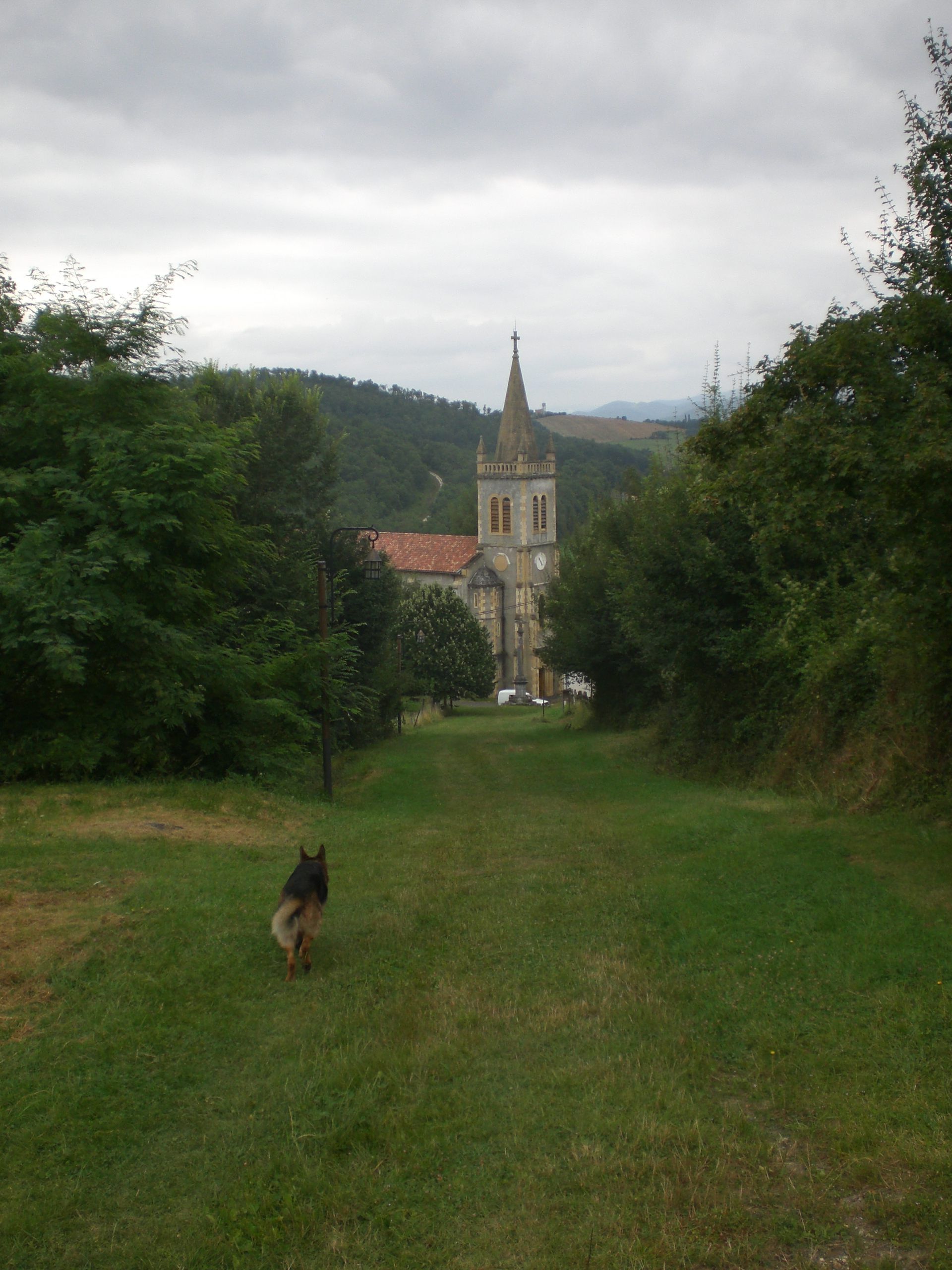 A church with a tall steeple and a clock tower, surrounded by lush greenery and a grassy path.
