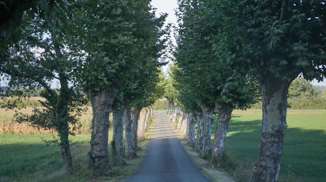 Vue des paysages de Villefranque (Hautes-Pyrénées) / Hautes-Pyrénées , France