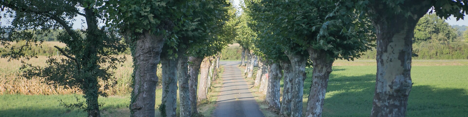 Vue des paysages de Villefranque (Hautes-Pyrénées) / Hautes-Pyrénées , France