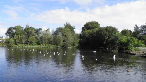 Étang du jardin du Moulin Neuf à Ploudalmézeau (Finistère, France).