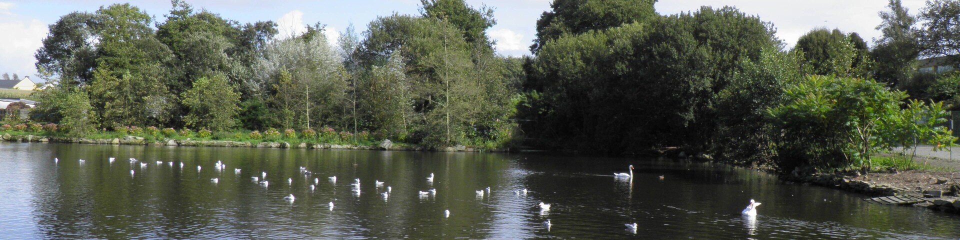 Étang du jardin du Moulin Neuf à Ploudalmézeau (Finistère, France).