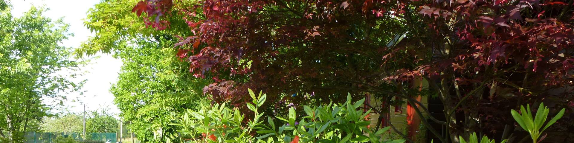 fleurs de chanteloup