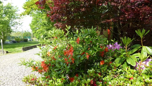 fleurs de chanteloup