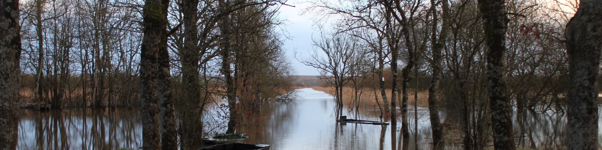 Le port du Montru noyé sous la crue (février 2014) du marais de Goulaine, Fr-44-la Chapelle-Heulin.