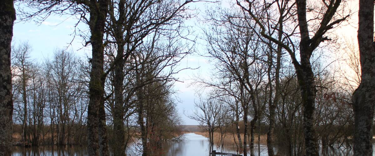 A calm river with a boat docked on the left, surrounded by trees.