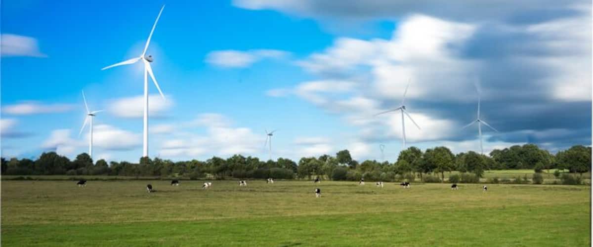 Wind turbines in a grassy field with a blue sky and clouds.