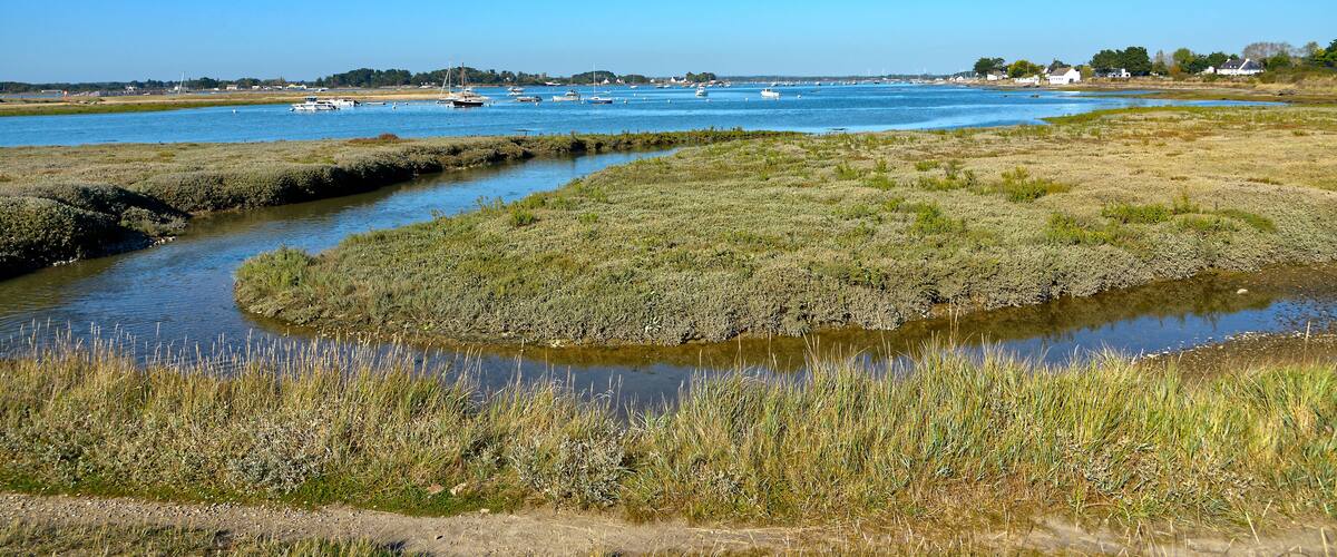A coastal landscape with a river meandering through marshy terrain, boats on the water, and houses in the distance.