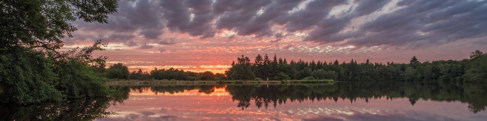 This was an epic sunset!
We are back in rural France, in the middle of nowhere, and at the lakes where I spent most of my summer holidays as a kid.
This was my grand-parents' property and my parents look after the place nowadays. I do not get to go there more than once a year, but it always fills me with amazing memories every time I get the opportunity to visit.
PS - you can see my dad fishing in the centre in the frame.
PSS - talking about fishing, we have big carps (like 20+ Kg!) in the lake and we have mostly people from the UK and Netherlands pay to come angling (no kill). They either camp on the site, or rent the small chalet we have there. If you are interested, ping me :-)