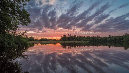 This was an epic sunset!
We are back in rural France, in the middle of nowhere, and at the lakes where I spent most of my summer holidays as a kid.
This was my grand-parents' property and my parents look after the place nowadays. I do not get to go there more than once a year, but it always fills me with amazing memories every time I get the opportunity to visit.
PS - you can see my dad fishing in the centre in the frame.
PSS - talking about fishing, we have big carps (like 20+ Kg!) in the lake and we have mostly people from the UK and Netherlands pay to come angling (no kill). They either camp on the site, or rent the small chalet we have there. If you are interested, ping me :-)