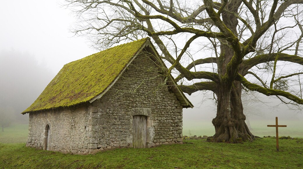 Saint-Sulpice-le-Dunois