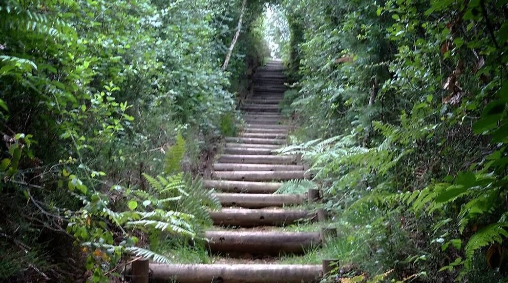 Peak in the Massif central. 731m high. Great hiking. Well signposted car park. Abbey ruins and viewpoint at top of the hill. Steps lead down to several circular walks through woods or over fields.