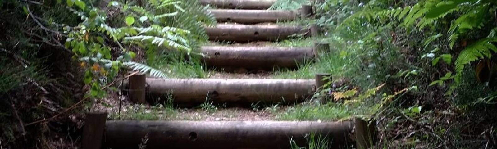 Peak in the Massif central. 731m high. Great hiking. Well signposted car park. Abbey ruins and viewpoint at top of the hill. Steps lead down to several circular walks through woods or over fields.