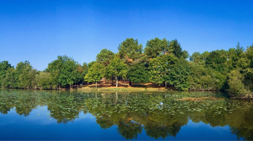 The lake at Gravotel.