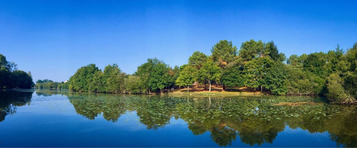 A calm lake with dense trees reflecting on the water's surface.
