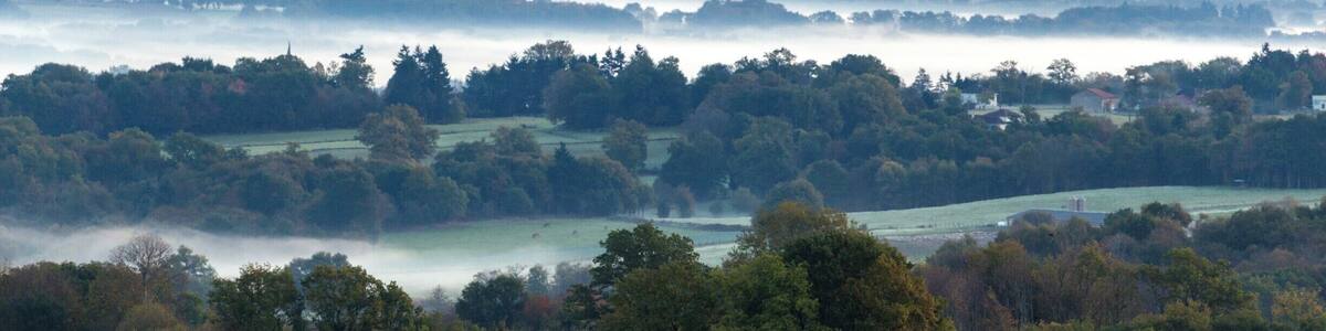 Another one from that morning with my dad waiting for the migrating birds.